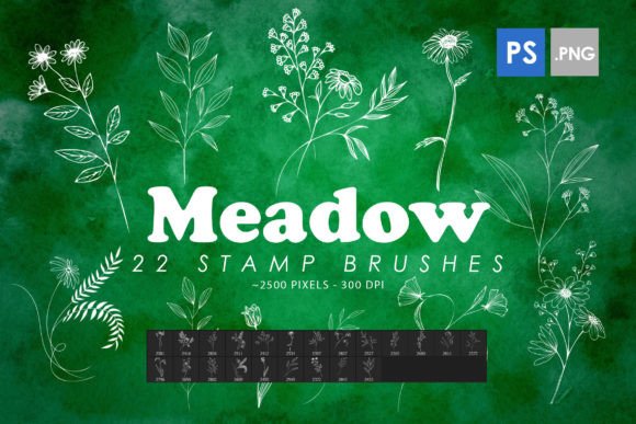 Unlocking Creative Potential: A Comprehensive Guide to Meadow Stamp Brushes for Photoshop and Procreate